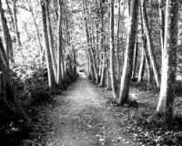 /album/alexandraperez/images-jpg1/